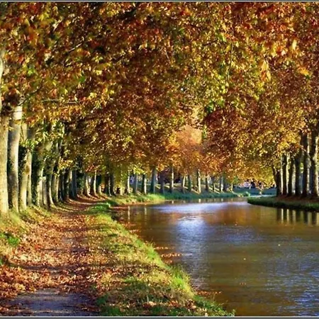 Tres Belle Climatisee Plain Pied, Wifi, 3 Chambres, Piscine Privee, Proche Du Canal Du Midi Et 4km De La Lxpin23 *